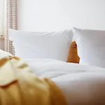 Haus Uthlande Uthlande Whg 11 Strandglueck Wyk auf Föhr